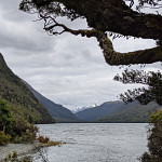 Thumbnail Photo for the Carefull with that auto correct Gallery.